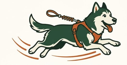 Dog running with harness and spring leash